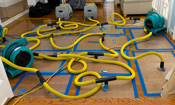 Professional Water Damage Repair technician working in North Hills, NY